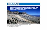 By U.S. Geological Survey Oil Shale Assessment Team€¦ · ESRI ArcGIS v. 9.2 (Environmental Systems Research Institute [ESRI], 2006) based on footage measurements north, south,