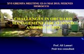 CHALLENGES IN ORCHARD MANAGEMENT FOR ALMOND AND PISTACHIOnetworks.iamz.ciheam.org/grempa2015/presentations... · Prof. Ali Lansari Fruit tree consultant XVI GREMPA MEETING 12-14 MAI
