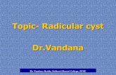 Topic- Radicular cyst Dr.Vandanadental.subharti.org/oral_path/Radicular cyst.pdf · RADICULAR CYST (Periapical cyst, Root end cyst, Apical periodontal cyst) •Most common odontogenic