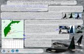 Results of a Photoidentification Study of Killer Whales ... · PDF file catalog of killer whales of the eastern Kamchatka (350 individuals) and five catalogs of killer whales from