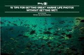 15 TIPS FOR GETTING GREAT MARINE LIFE …...other marine life, and some, like the Turtle Back Zoo in West Orange, NJ, even have marine animals normally only seen at aquariums, including