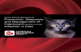 Current Feline Guidelines for the Prevention, Diagnosis ...€¦ · Current Feline Guidelines for the Prevention, Diagnosis, and Management of Heartworm (Dirofilaria immitis) Infection