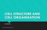 CELL STRUCTURE AND CELL ORGANISATION · PDF file

2/1/2018  · CELL STRUCTURE AND CELL ORGANISATION CHAPTER 2