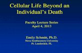 Faculty Lecture Series April 4, 2013 Emily Schmitt, Ph.D. · Faculty Lecture Series April 4, 2013 Emily Schmitt, Ph.D. Nova Southeastern University Ft. Lauderdale, FL. ... • If