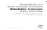 Non-muscle-invasive Bladder Cancer - ΙΜΟΠ › sites › default › files › 05_tat1_non-muscle... · 2013-04-01 · 6 NON-MUSCLE-INVASIVE BLADDER CANCER (TAT1 AND CIS) - TEXT