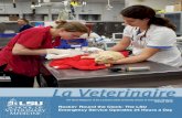 Rockin’ Round the Clock: The LSU Emergency Service ... · the LSU Veterinary Teaching Hospital for evaluation. A urine sample was collected from Avery, and veterinary technician