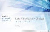 Data Visualization Choices - WordPress.com · Executive Dashboard Business Scorecard Key Performance Indicators Business Analysis Balance Sheets ... most capable dashboard & report