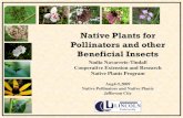 Native Plants for Pollinators and other Beneficial Insectsextension.missouri.edu/sare/documents/nativeplants.pdf · 2009-08-17 · Native Plants Program Lincoln University Cooperative