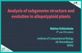 Analysis of subgenome structure and evolution in allopolyploid plants€¦ · Analysis of subgenome structure and evolution in allopolyploid plants Matteo Schiavinato 4th year PhD