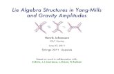Lie Algebra Structures in Yang-Mills and Gravity …...Strings June 27 2011 H. Johansson 2 Simple double-copy structure of gravity Duality between color and kinematics Evidence at