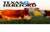 The Official Publication of the Texas Hereford Association ...Park Place Enterprises, Design Lee Chastain, Photo Production AFFILIATED WITH LPC – Livestock Publications Council National