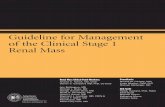 Guideline for Management of the Clinical Stage 1 Renal Mass · develop guidelines for the management of the clinical stage 1 renal mass that would be useful to physicians involved