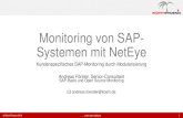 Monitoring von SAP- Systemen mit NetEye · SAP TREX (Search-Engine) SAP WebDispatcher (SW-Loadbalancer) SAP PO-System und/oder SAP-Businessconnector (Middleware, ABAP+JAVA oder JAVA)