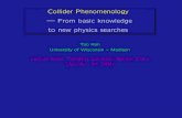 Collider Phenomenology — From basic knowledge to new ...hep.tsinghua.edu.cn/talks/hantao/hantao_060626.pdf · Collider Phenomenology — From basic knowledge to new physics searches