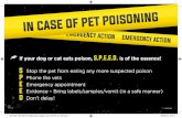 If your dog or cat eats poison, S.P.E.E.D. is of ... - TVM UK › wp-content › uploads › 2019 › 07 › 6072.022... · EMERGENCY ACTION EMERGENCY ACTION EMERGENCY ACTION IN CASE