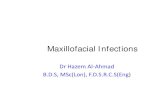 Maxillofacial Infections - Yolaclinicaljude.yolasite.com/resources/Maxillofacial infections.pdf · Maxillofacial Infections • Odontogenic infections are usually mild ... Anatomy
