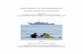 PROCEEDINGS OF THE WORKSHOP ON ACTIVE SONAR AND CETACEANS Special... · Pavan,G., Fossati, C., Manghi, M., and Priano, M. Passive acoustic tools for the implementation of acoustic