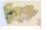p d m g u i m a r ã e s · 2018-06-22 · Alto Douro Vinhateiro Vale Côa Parque Nacional Peneda-Gerês Estrutura Regional de Protecção e Valorização Ambiental Potencial Agro-florestal