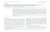 The Medicinal Mushroom Agaricus blazei Murrill: Review of ... · PDF file The Medicinal Mushroom Agaricus blazei Murrill: Review of Literature and Pharmaco-Toxicological Problems F.