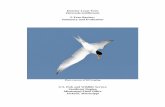 Interior Least Tern Sternula antillarum › MississippiES › _pdf › FINAL_ILT 5-year...Interior Least Tern (Sternula antillarum) 5-Year Review: Summary and Evaluation Photo courtesy