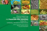 Flora Arbórea das Matas Ciliarespetra.eco.br/wp-content/uploads/2018/05/catalogo_plantas_5_web.pdf · Flora Arbórea das Matas Ciliares da Fazenda São Nicolau Volume 1 Cotriguaçu,