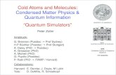 indico.ictp.itindico.ictp.it/event/a07269/session/3/contribution/3/material/0/0.pdf · SFB Coherent Control of Quantum Systems €U networks UNIVERSITY OF INNSBRUCK IQOQI AUSTRIAN