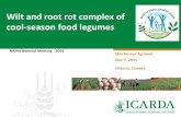 Wilt and root rot complex of cool-season food legumes• Black root rot resistant faba bean Challenges • Collar rot in relay/CA practices in rice based systems • Dry root rot in