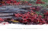 Aboriginal Women in Canada - ccnsa-nccah.ca...adopt a gendered perspective and the information is dispersed across a lengthy report. This paper aims to provide a gendered perspective