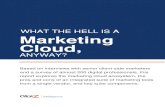 WHAT THE HELL IS A Marketing Cloud, the hell i… · 2 About ClickZ Intelligence ClickZ Intelligence is a service that harnesses the world’s leading community of marketers and ecommerce