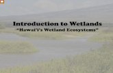 Introduction to Wetlands - National Oceanic and ... 5 U… · Introduction to Wetlands “Hawai’i’s Wetland Ecosystems” This presentation gives more details about the functions