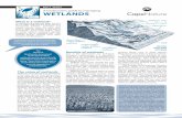 FACT SHEET - CapeNature · PDF file The value of wetlands Wetlands were referred to as wastelands in the past, but far from being waste-lands, wetlands are amongst the most productive
