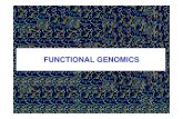 FUNCTIONAL GENOMICS - UMHsici.umh.es/teaching/doctorate/Functional_Genomics... · Functional Genomics zIt is the field of molecular biology that attempts towards the systematic harvesting