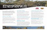 Photography in - NSW National Parks · PDF file Photography in From wildlife to waterways, treescapes to sunsets, there is no end of subject matter for photography in the river red