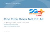 One Size Does Not Fit All - WordPress.com · 2015-07-31 · One Size Does Not Fit All Dr. Murray Cantor, Senior Consultant ... • Relearn the old lessons, e.g .Brooks law, Conway’s