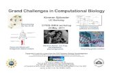 Grand Challenges in Computational Biology...Computational Biology 2009 2. “Phylogenomic inference of protein molecular function: advances and challenges," Sjolander, Bioinformatics