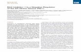 Molecular Cell Article - Walter Labwalterlab.ucsf.edu/.../Lisbona...Hetz_2009_MolCell.pdf · Molecular Cell Article BAX Inhibitor-1 Is a Negative Regulator of the ER Stress Sensor