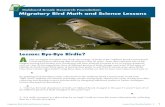 Red Eyed Vireo/Robert Royse Lesson: Bye-Bye Birdie? Asupporthubbardbrook.org › birdlessons › PDFs › Lesson Five_Bye Bye … · natural or human influences affect bird populations,