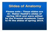 Slides of Anatomy - JU Medicine · Slides of Anatomy Please note : These slides are Dr. Maher Hadidi’s slides of spring 2016 and were edited by the Premed Academic Team to fit the