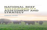 NATIONAL BEEF SUSTAINABILITY ASSESSMENT AND STRATEGY€¦ · Acronyms and Units Acronyms AAFC Agriculture and Agri-Food Canada E-LCA Environmental Life Cycle Assessment FAO Food and