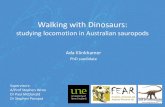 Walking with Dinosaurs - University of New England · studying locomotion in Australian sauropods Ada Klinkhamer PhD candidate Supervisors: A/Prof Stephen Wroe Dr Paul McDonald ...