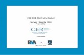 CER SME Electricity Market Survey Results 2016 › wp-content › uploads › 2016 › 07 › CER... · 2 Background Survey conducted between 27th April –26th May 2016. Total of