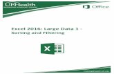 Excel 2016: Large Data 1 - IT Training · Custom Lists Custom lists can be built through the Excel Options under the File menu in the Advanced section under General. Or by choosing