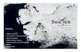 Sea ice - UNIS · Sea ice Sébastien Barrault Safety Course. January 2008. Content • UNIS & Sea ice • Ice location & Dynamics • Sea ice physics • Scale and Ice feature •
