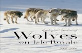 Ecological Studies of Wolves on Isle Royale · 2017-11-01 · wolves, 15-to-1, is the lowest ever documented at Isle Royale. Three territorial wolf packs raised a total of seven pups,