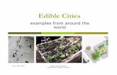 Edible Cities.ppt [Read-Only] - spatialdesign.info · represents a new idea in creating green space. The Pennsylvania Horticultural Society created the temporary, pop-up garden. The