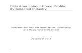 Olds Area Labour Force Profile: By Selected Industry · 2018-11-09 · Olds Area Labour Force Profile: By Selected Industry . ... product or who have comparable skills and can be