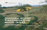 Natura 2000 basisanalyse 2016-2021naturstyrelsen.dk/media/nst/90559/N241_Basisanalyse16-21.pdf · 2014-02-24 · Resume: Basisanalyse for Rødme Svinehaver. ... 11 Naturtilstand og