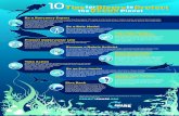 Tips Divers Protect the Planet Ocean · PDF file Ocean protection depends on all of our actions, large and small. Investing in the ocean protects our planet and lets the dive adventure