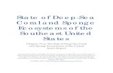 The State of Deep-Sea Coral and Sponge …...2017/07/19  · State of Deep‐Sea Coral and Sponge Ecosystems of the Southeast United States Chapter 13 in The State of Deep‐Sea Coral