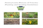Pennsylvania Bureau of Forestry Planting and Seeding Guidelines › cs › groups › public › documents › document … · BOF General Native Seed Mix 9 BOF General Native/Non-native